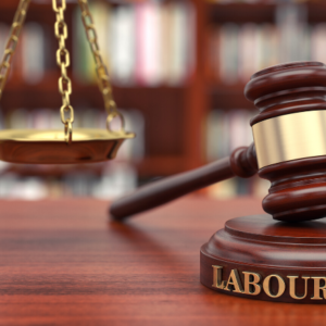 Employment and Labor Relations Court Proceedings
