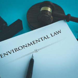 Environment and Land Court Proceedings